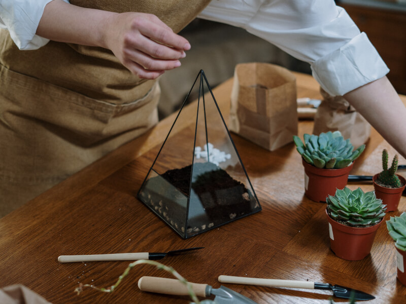 Person wearing brown apron making a terrarium